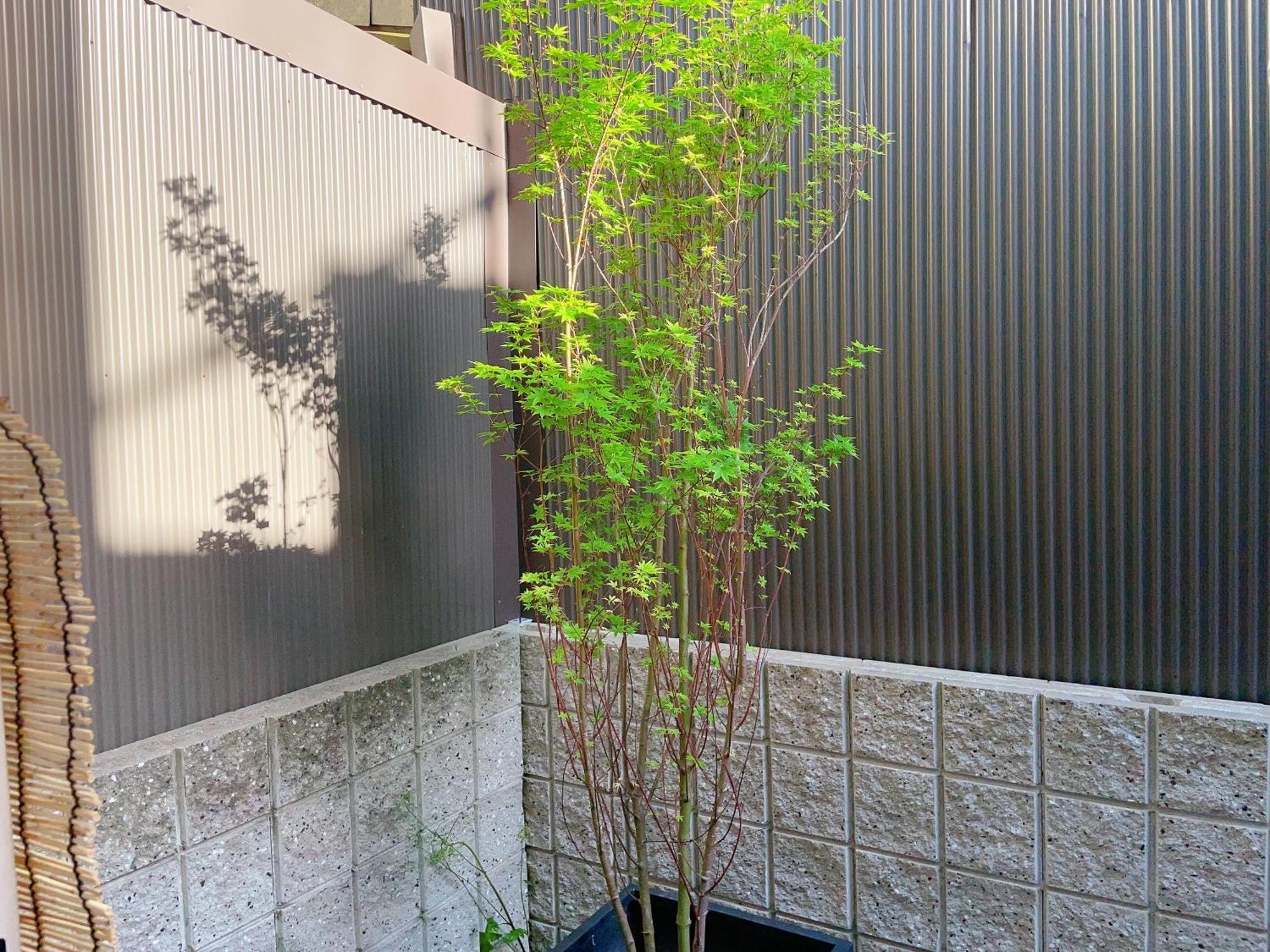 Suikakan Heianjingumae 酔花間 Kjóto Exteriér fotografie